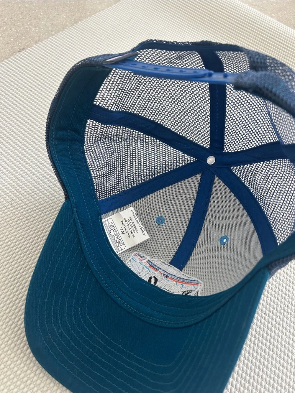 PATAGONIA Fitz Roy Bison Trucker Hat Blue Buffalo Patch